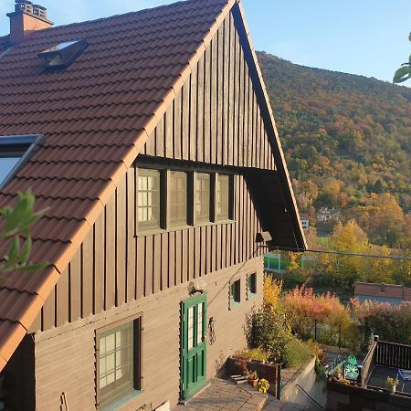 Schontalblick Villa Neustadt an der Weinstraße Dış mekan fotoğraf